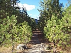 Images of the KVR route from Kelowna to Midway.